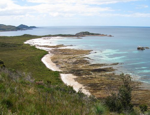 Anniversary Bay in Rocky Cape NP