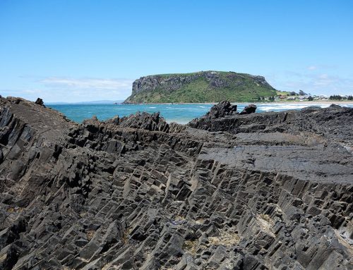 The Nut and Godfreys Beach and Stanley