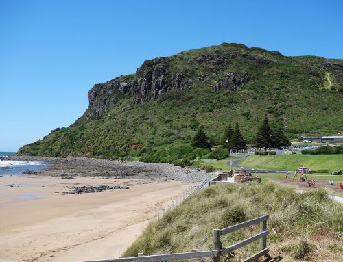 The Nut from Godfreys Beach